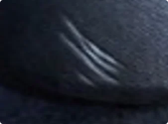 elephant skin